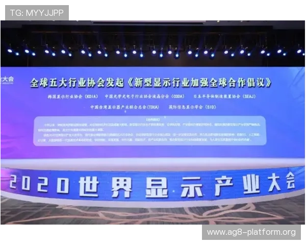 恒峰国际ag账号安全维护技巧保障个人信息安全的实用建议